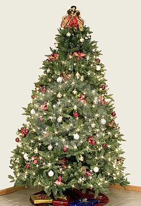 Negocios exitosos para la Temporada Navideña